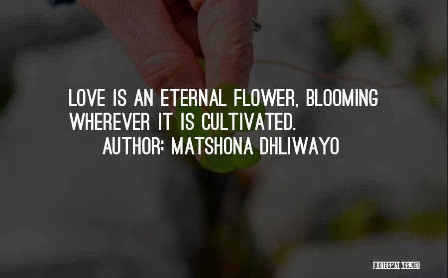 Matshona Dhliwayo Quotes: Love Is An Eternal Flower, Blooming Wherever It Is Cultivated.