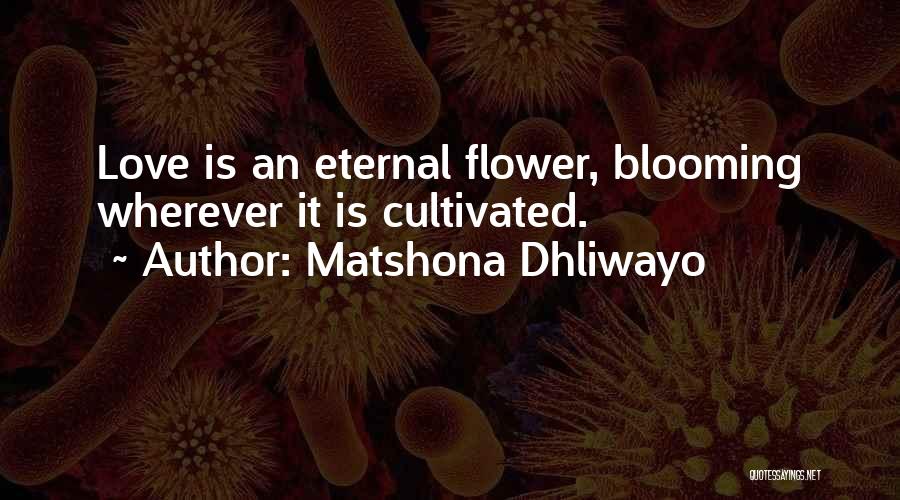 Matshona Dhliwayo Quotes: Love Is An Eternal Flower, Blooming Wherever It Is Cultivated.