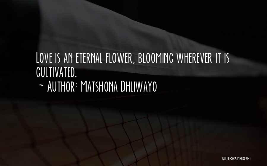 Matshona Dhliwayo Quotes: Love Is An Eternal Flower, Blooming Wherever It Is Cultivated.