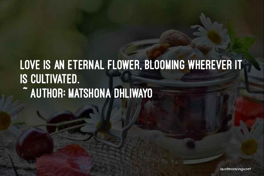 Matshona Dhliwayo Quotes: Love Is An Eternal Flower, Blooming Wherever It Is Cultivated.