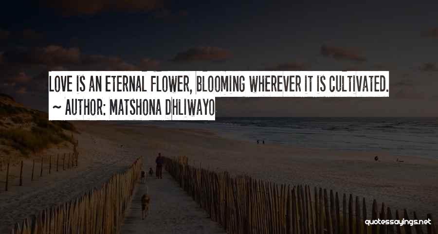 Matshona Dhliwayo Quotes: Love Is An Eternal Flower, Blooming Wherever It Is Cultivated.