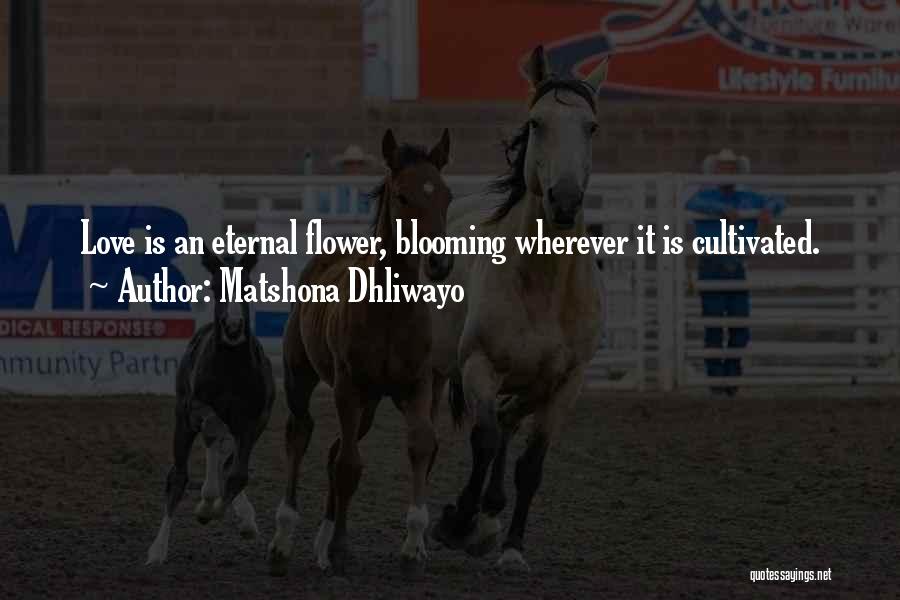 Matshona Dhliwayo Quotes: Love Is An Eternal Flower, Blooming Wherever It Is Cultivated.