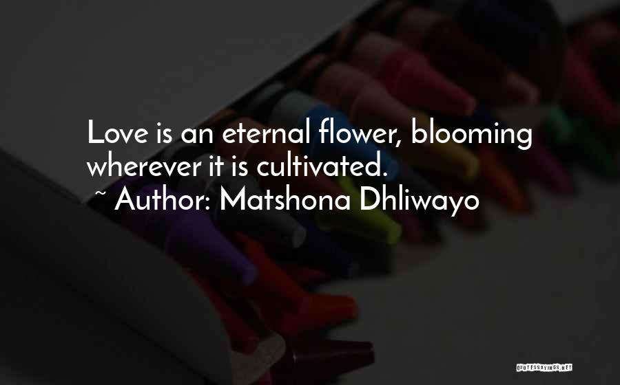 Matshona Dhliwayo Quotes: Love Is An Eternal Flower, Blooming Wherever It Is Cultivated.