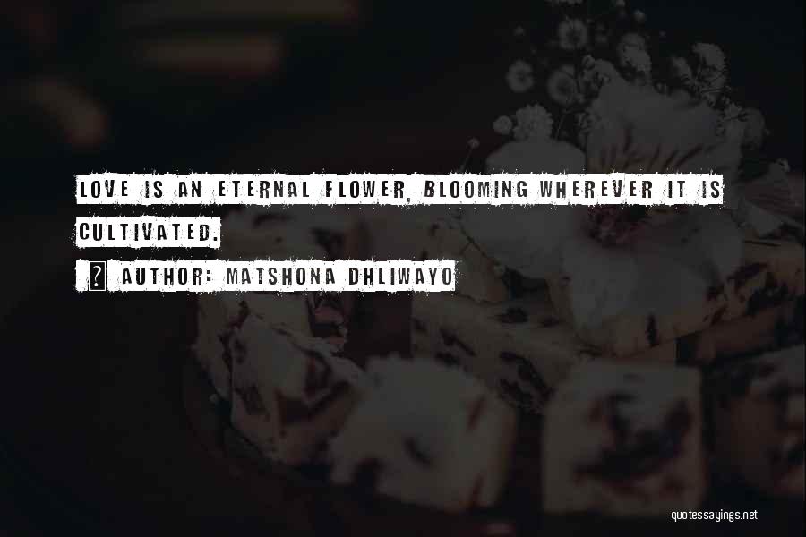 Matshona Dhliwayo Quotes: Love Is An Eternal Flower, Blooming Wherever It Is Cultivated.