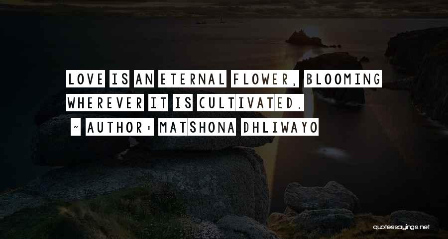 Matshona Dhliwayo Quotes: Love Is An Eternal Flower, Blooming Wherever It Is Cultivated.