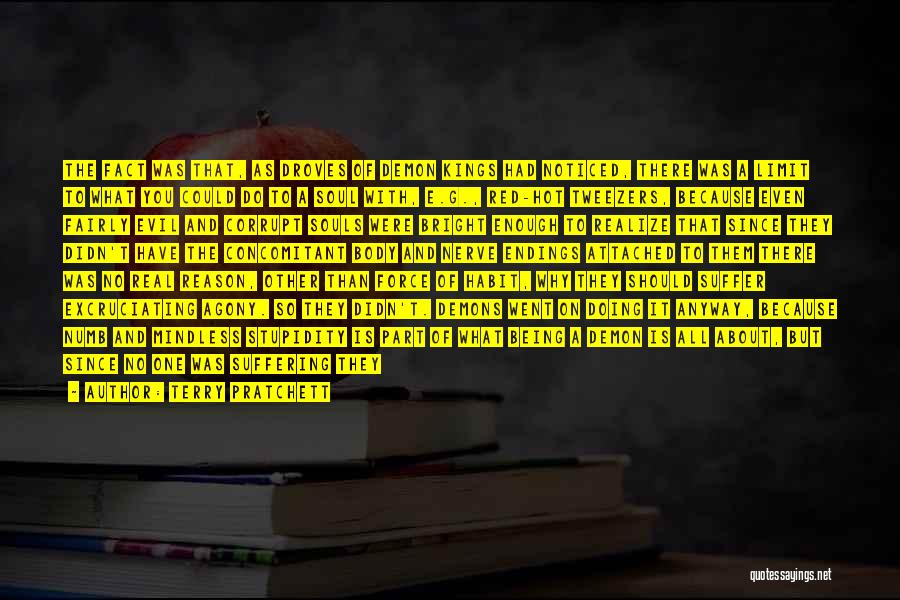 Terry Pratchett Quotes: The Fact Was That, As Droves Of Demon Kings Had Noticed, There Was A Limit To What You Could Do