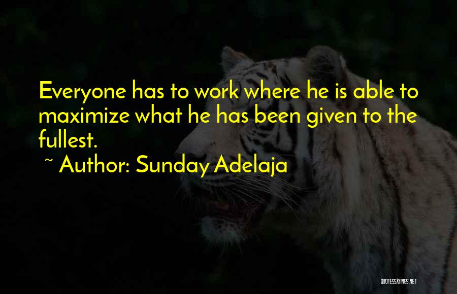 Sunday Adelaja Quotes: Everyone Has To Work Where He Is Able To Maximize What He Has Been Given To The Fullest.