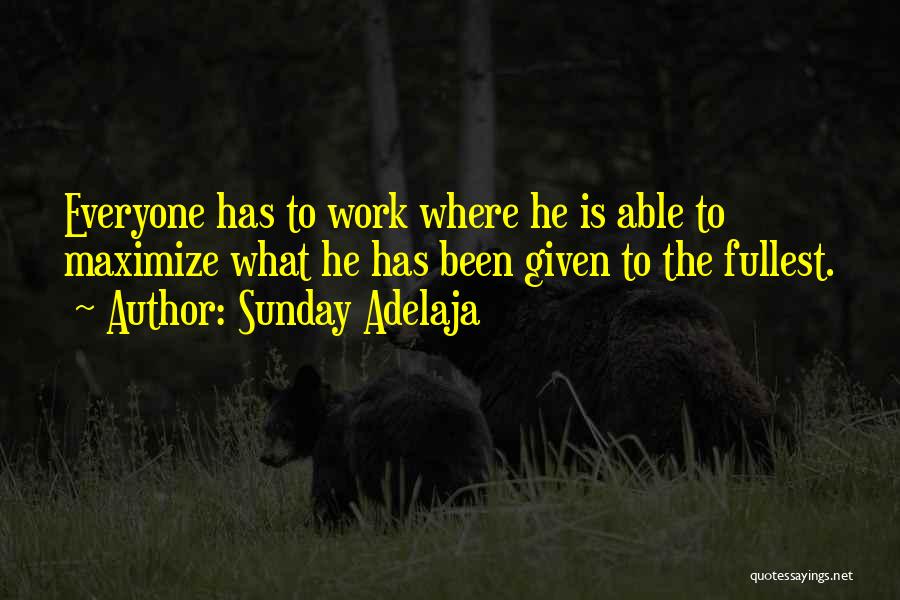 Sunday Adelaja Quotes: Everyone Has To Work Where He Is Able To Maximize What He Has Been Given To The Fullest.