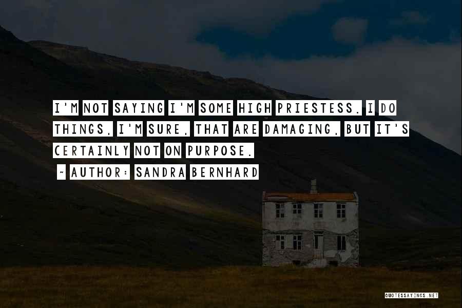 Sandra Bernhard Quotes: I'm Not Saying I'm Some High Priestess. I Do Things, I'm Sure, That Are Damaging, But It's Certainly Not On