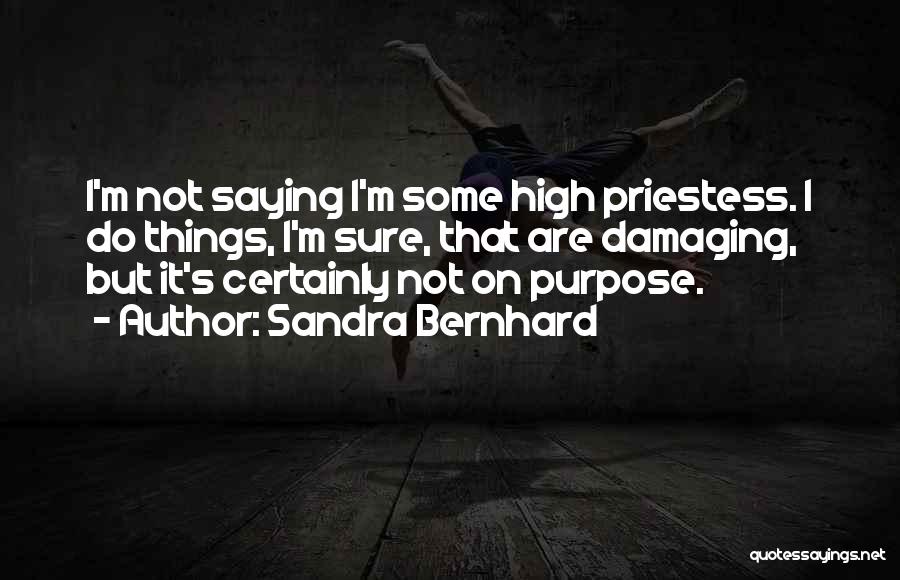 Sandra Bernhard Quotes: I'm Not Saying I'm Some High Priestess. I Do Things, I'm Sure, That Are Damaging, But It's Certainly Not On