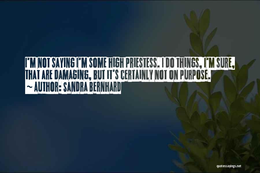 Sandra Bernhard Quotes: I'm Not Saying I'm Some High Priestess. I Do Things, I'm Sure, That Are Damaging, But It's Certainly Not On