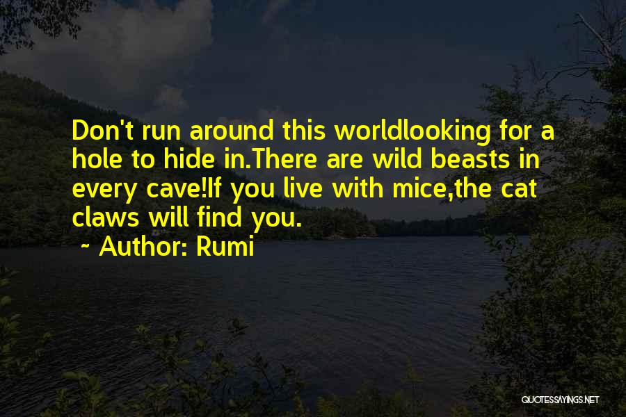 Rumi Quotes: Don't Run Around This Worldlooking For A Hole To Hide In.there Are Wild Beasts In Every Cave!if You Live With