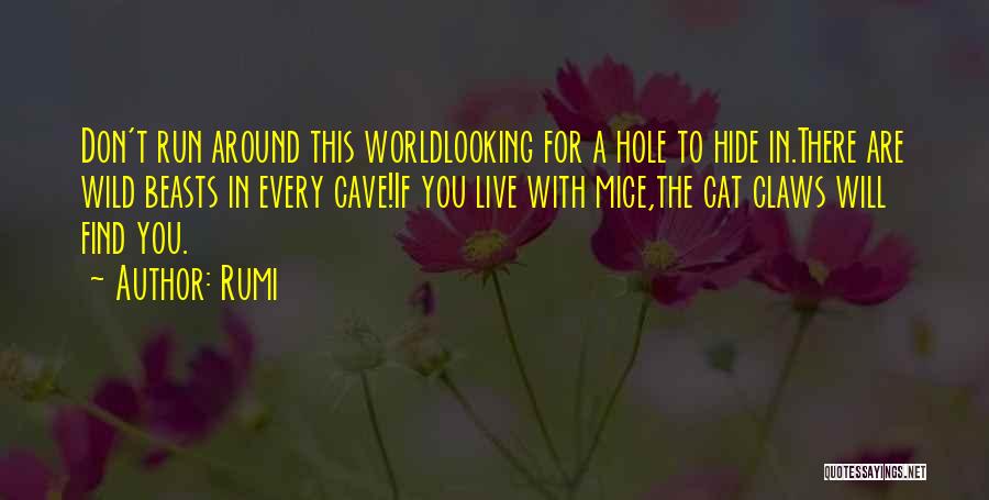 Rumi Quotes: Don't Run Around This Worldlooking For A Hole To Hide In.there Are Wild Beasts In Every Cave!if You Live With