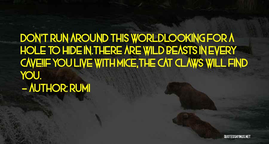 Rumi Quotes: Don't Run Around This Worldlooking For A Hole To Hide In.there Are Wild Beasts In Every Cave!if You Live With