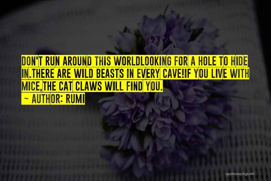 Rumi Quotes: Don't Run Around This Worldlooking For A Hole To Hide In.there Are Wild Beasts In Every Cave!if You Live With