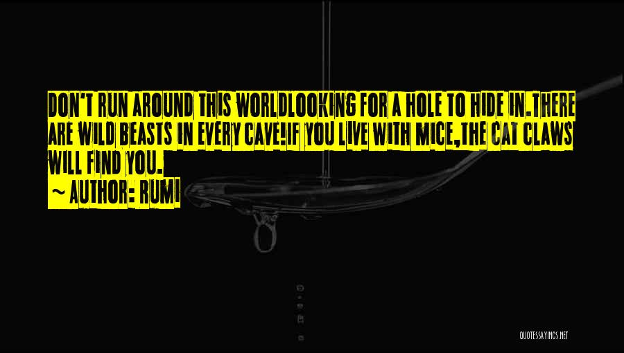 Rumi Quotes: Don't Run Around This Worldlooking For A Hole To Hide In.there Are Wild Beasts In Every Cave!if You Live With