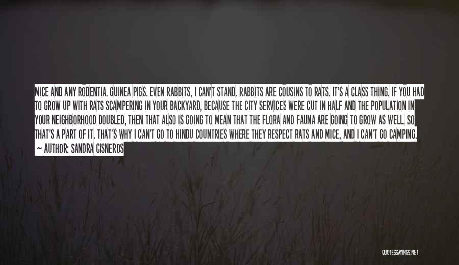 Sandra Cisneros Quotes: Mice And Any Rodentia. Guinea Pigs. Even Rabbits, I Can't Stand. Rabbits Are Cousins To Rats. It's A Class Thing.