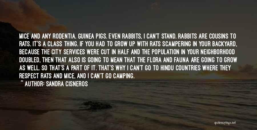 Sandra Cisneros Quotes: Mice And Any Rodentia. Guinea Pigs. Even Rabbits, I Can't Stand. Rabbits Are Cousins To Rats. It's A Class Thing.