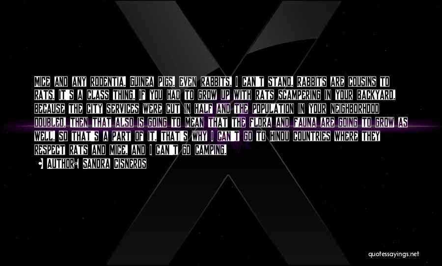 Sandra Cisneros Quotes: Mice And Any Rodentia. Guinea Pigs. Even Rabbits, I Can't Stand. Rabbits Are Cousins To Rats. It's A Class Thing.