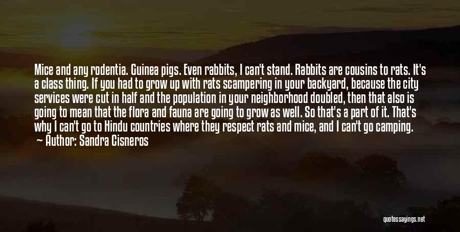 Sandra Cisneros Quotes: Mice And Any Rodentia. Guinea Pigs. Even Rabbits, I Can't Stand. Rabbits Are Cousins To Rats. It's A Class Thing.