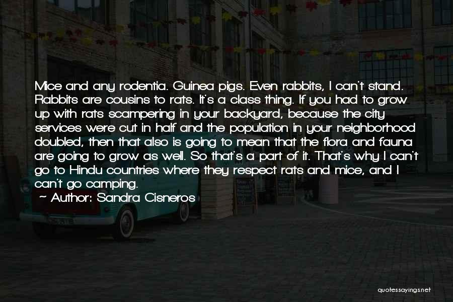 Sandra Cisneros Quotes: Mice And Any Rodentia. Guinea Pigs. Even Rabbits, I Can't Stand. Rabbits Are Cousins To Rats. It's A Class Thing.