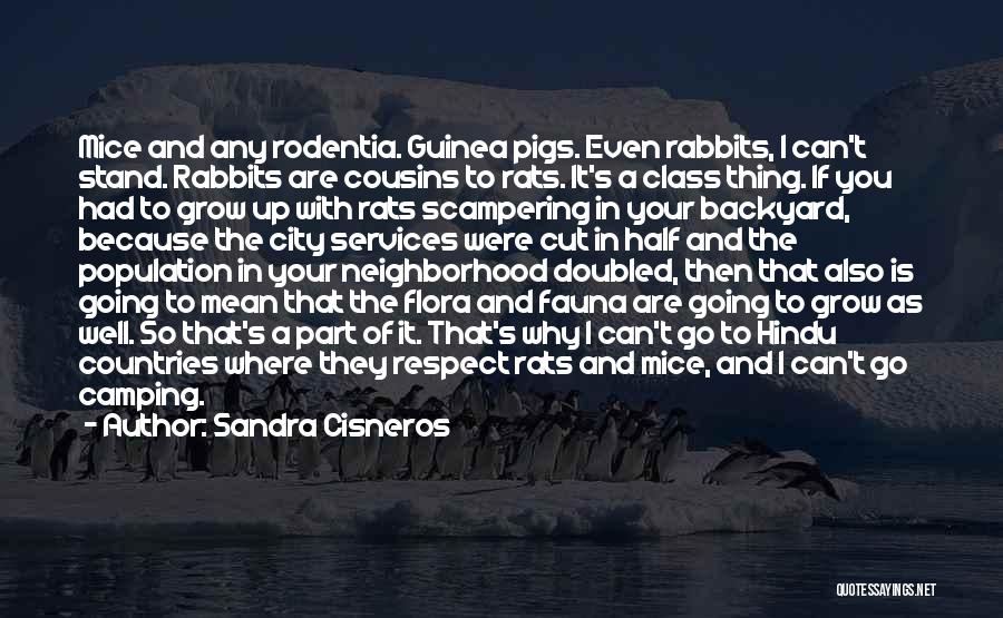 Sandra Cisneros Quotes: Mice And Any Rodentia. Guinea Pigs. Even Rabbits, I Can't Stand. Rabbits Are Cousins To Rats. It's A Class Thing.