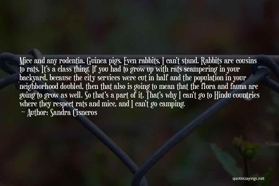 Sandra Cisneros Quotes: Mice And Any Rodentia. Guinea Pigs. Even Rabbits, I Can't Stand. Rabbits Are Cousins To Rats. It's A Class Thing.