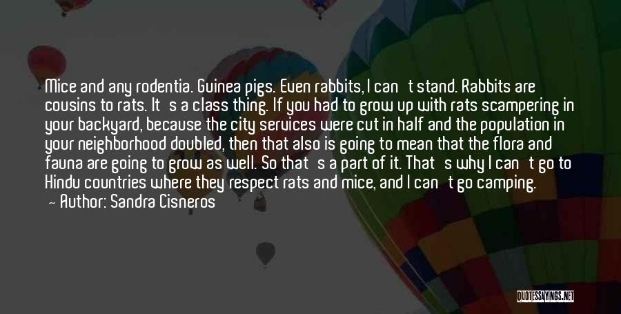 Sandra Cisneros Quotes: Mice And Any Rodentia. Guinea Pigs. Even Rabbits, I Can't Stand. Rabbits Are Cousins To Rats. It's A Class Thing.