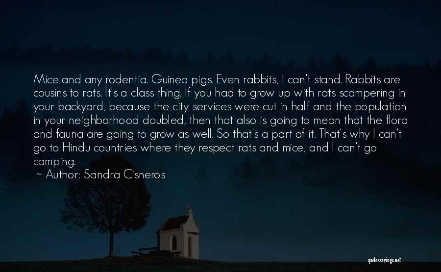 Sandra Cisneros Quotes: Mice And Any Rodentia. Guinea Pigs. Even Rabbits, I Can't Stand. Rabbits Are Cousins To Rats. It's A Class Thing.