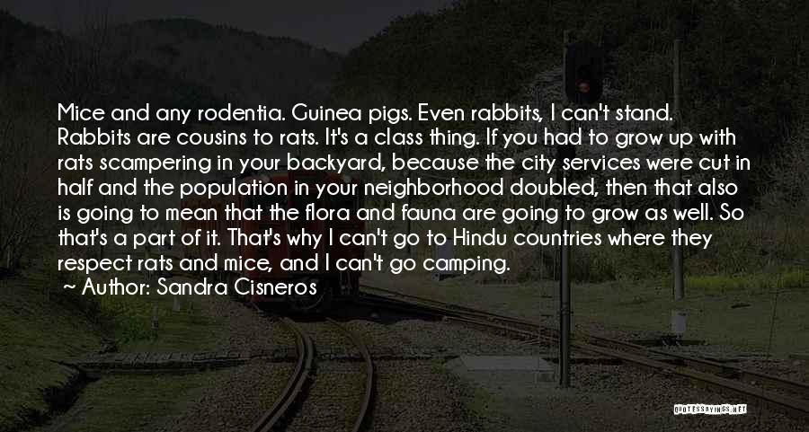 Sandra Cisneros Quotes: Mice And Any Rodentia. Guinea Pigs. Even Rabbits, I Can't Stand. Rabbits Are Cousins To Rats. It's A Class Thing.