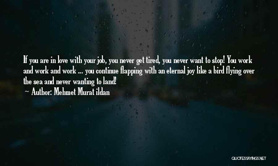 Mehmet Murat Ildan Quotes: If You Are In Love With Your Job, You Never Get Tired, You Never Want To Stop! You Work And