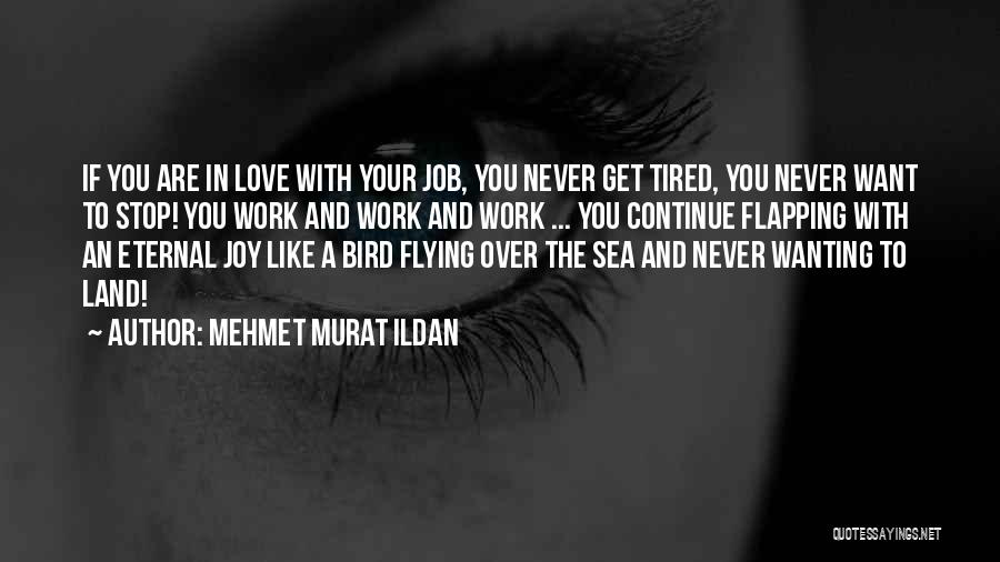 Mehmet Murat Ildan Quotes: If You Are In Love With Your Job, You Never Get Tired, You Never Want To Stop! You Work And