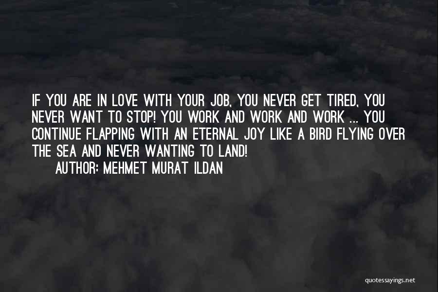Mehmet Murat Ildan Quotes: If You Are In Love With Your Job, You Never Get Tired, You Never Want To Stop! You Work And
