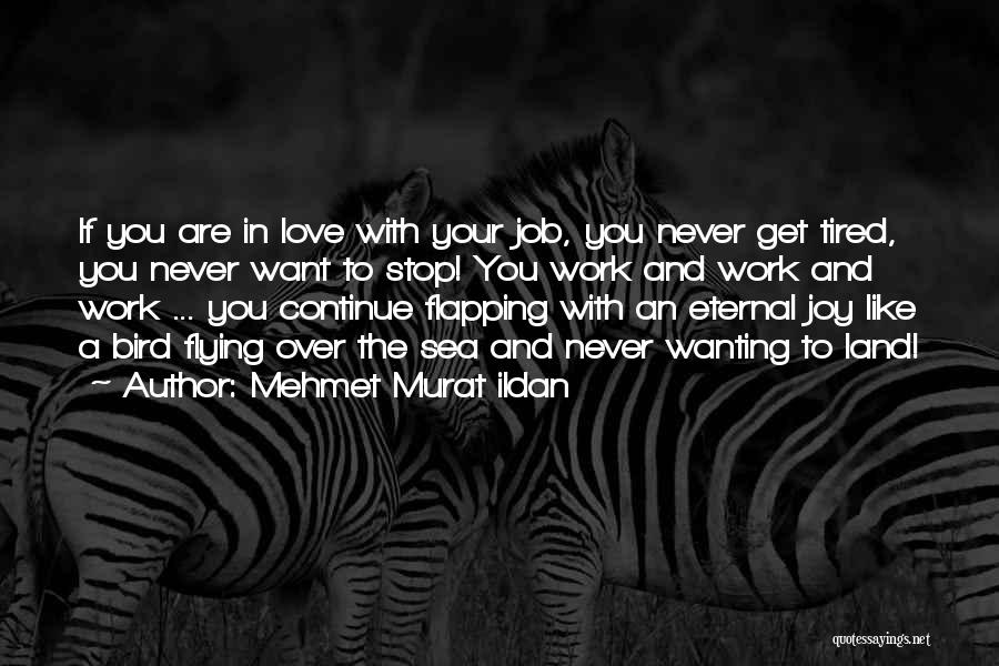 Mehmet Murat Ildan Quotes: If You Are In Love With Your Job, You Never Get Tired, You Never Want To Stop! You Work And