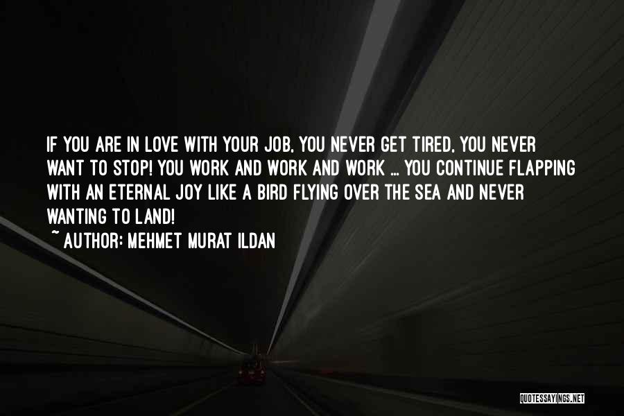 Mehmet Murat Ildan Quotes: If You Are In Love With Your Job, You Never Get Tired, You Never Want To Stop! You Work And