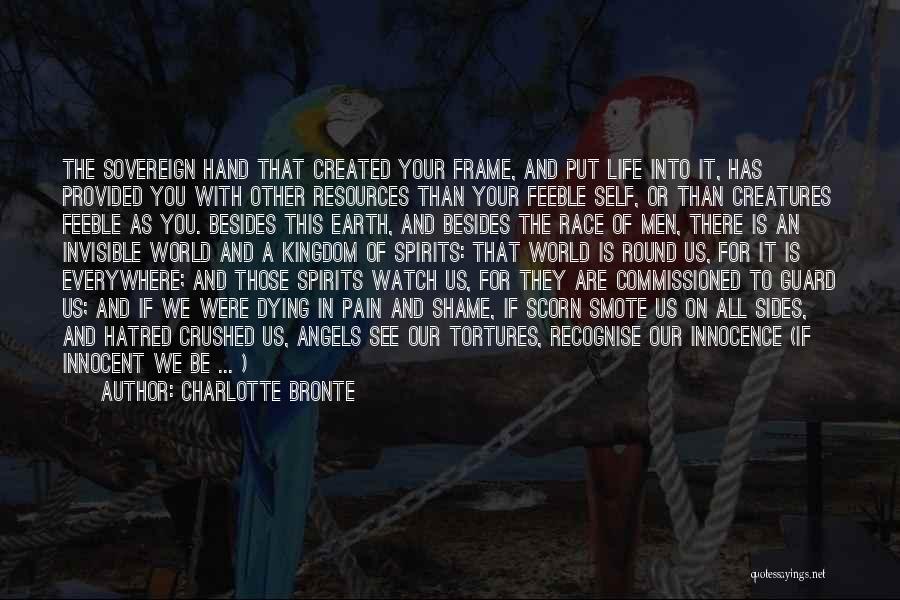 Charlotte Bronte Quotes: The Sovereign Hand That Created Your Frame, And Put Life Into It, Has Provided You With Other Resources Than Your