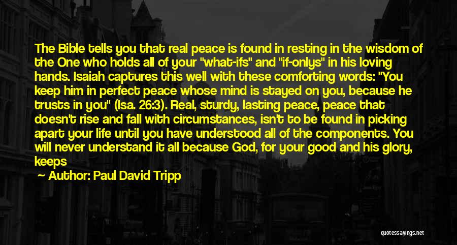 Paul David Tripp Quotes: The Bible Tells You That Real Peace Is Found In Resting In The Wisdom Of The One Who Holds All