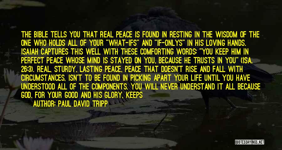 Paul David Tripp Quotes: The Bible Tells You That Real Peace Is Found In Resting In The Wisdom Of The One Who Holds All