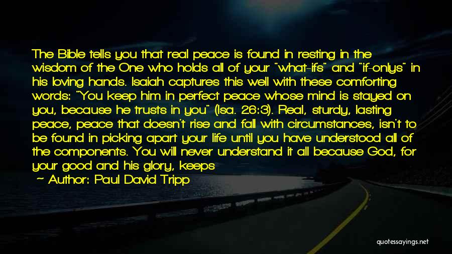 Paul David Tripp Quotes: The Bible Tells You That Real Peace Is Found In Resting In The Wisdom Of The One Who Holds All