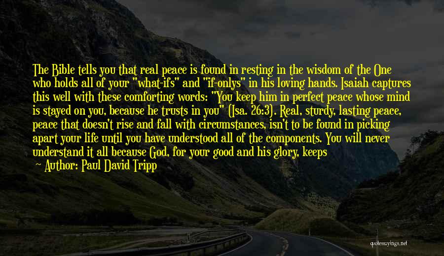 Paul David Tripp Quotes: The Bible Tells You That Real Peace Is Found In Resting In The Wisdom Of The One Who Holds All