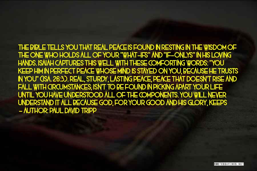 Paul David Tripp Quotes: The Bible Tells You That Real Peace Is Found In Resting In The Wisdom Of The One Who Holds All