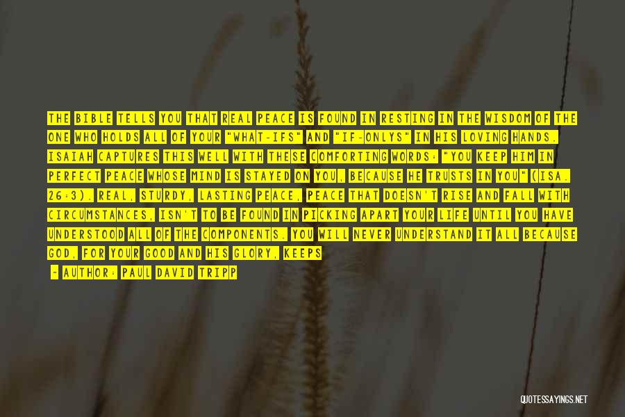 Paul David Tripp Quotes: The Bible Tells You That Real Peace Is Found In Resting In The Wisdom Of The One Who Holds All