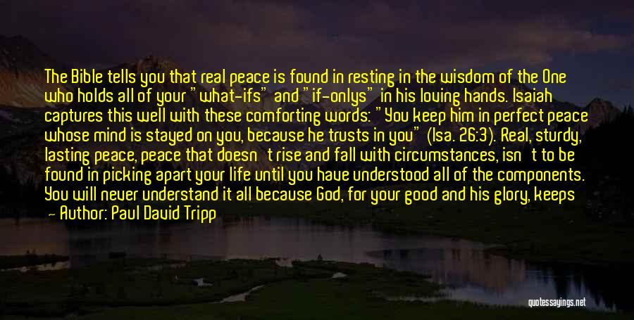 Paul David Tripp Quotes: The Bible Tells You That Real Peace Is Found In Resting In The Wisdom Of The One Who Holds All