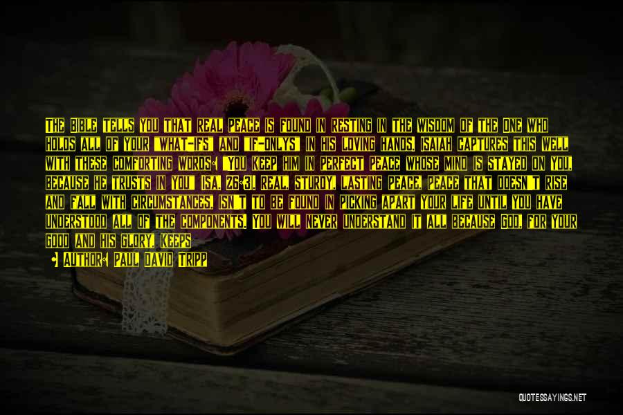 Paul David Tripp Quotes: The Bible Tells You That Real Peace Is Found In Resting In The Wisdom Of The One Who Holds All