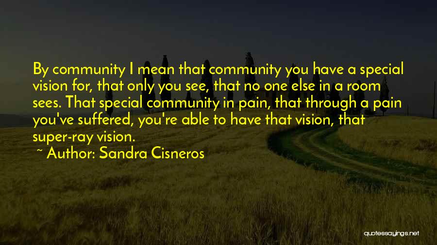 Sandra Cisneros Quotes: By Community I Mean That Community You Have A Special Vision For, That Only You See, That No One Else