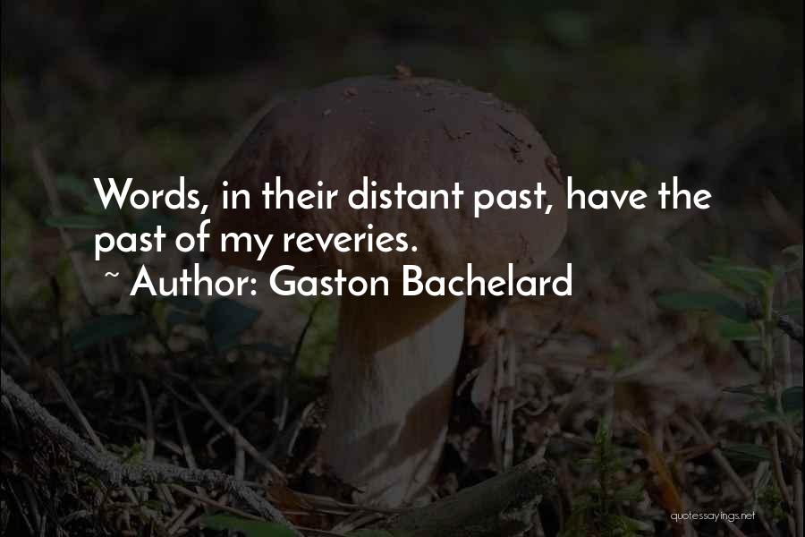 Gaston Bachelard Quotes: Words, In Their Distant Past, Have The Past Of My Reveries.