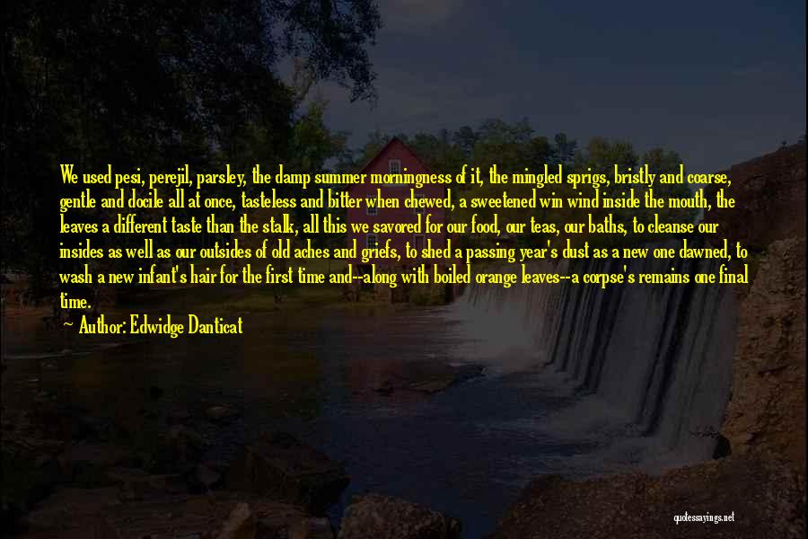 Edwidge Danticat Quotes: We Used Pesi, Perejil, Parsley, The Damp Summer Morningness Of It, The Mingled Sprigs, Bristly And Coarse, Gentle And Docile