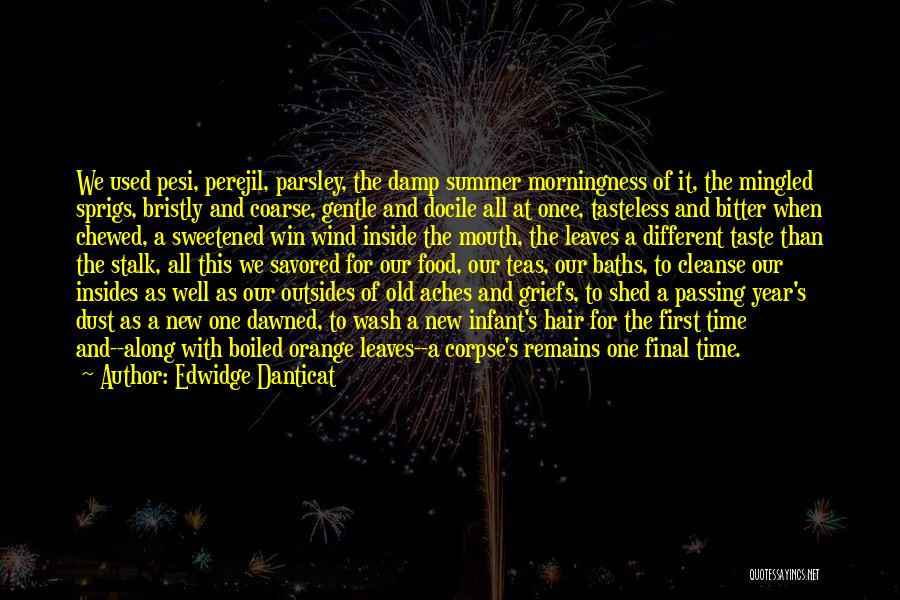 Edwidge Danticat Quotes: We Used Pesi, Perejil, Parsley, The Damp Summer Morningness Of It, The Mingled Sprigs, Bristly And Coarse, Gentle And Docile