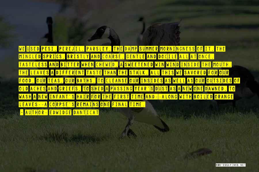 Edwidge Danticat Quotes: We Used Pesi, Perejil, Parsley, The Damp Summer Morningness Of It, The Mingled Sprigs, Bristly And Coarse, Gentle And Docile