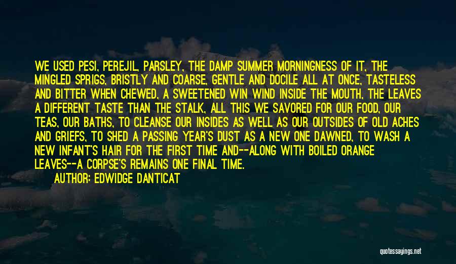 Edwidge Danticat Quotes: We Used Pesi, Perejil, Parsley, The Damp Summer Morningness Of It, The Mingled Sprigs, Bristly And Coarse, Gentle And Docile